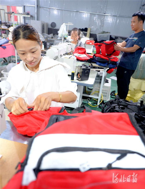 河北邯鄲 微工廠助農增收鳳凰網河北 鳳凰網